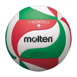 Ballon Volley-ball Molten V5M4000