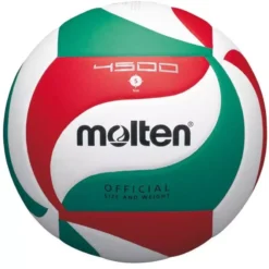 Ballon Volley-ball Molten V5M4500