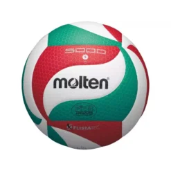 Ballon Volley-ball Molten V5M5000
