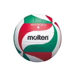 Ballon Volley-ball Molten VM2000-L